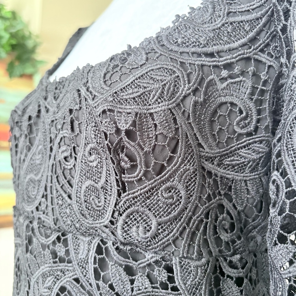 Anthropologie Maeve Embroidered Lace Mini Black Lace Whimsy goth Dress Sz 6 US - Picture 10 of 10